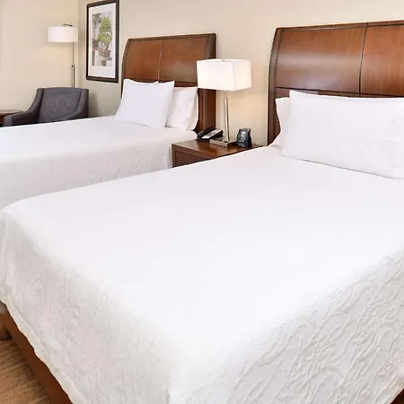 Hilton Garden Inn Addison Extérieur photo